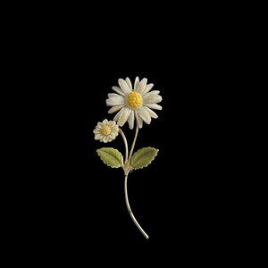 Double Daisy Brooch - Gold Tone